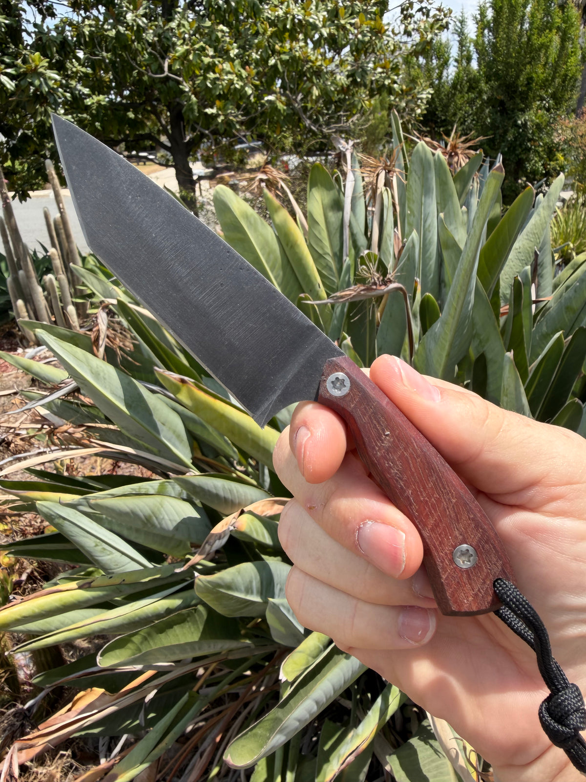 HF Blade Co. x Bad Omen EDC Custom Tanto Fixed Blade – AEB-L – USA Handmade with Kydex Sheath and Ulti Clips