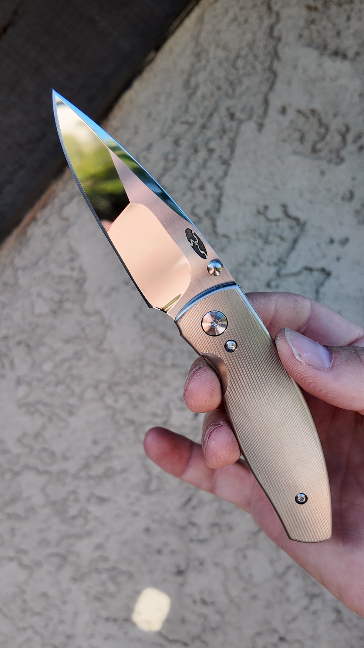 TRM Neutron 2 Mike Irie Custom Compound Mirror Grind CPM 154 – Lizard Skin or Pinstripe Titanium Scales