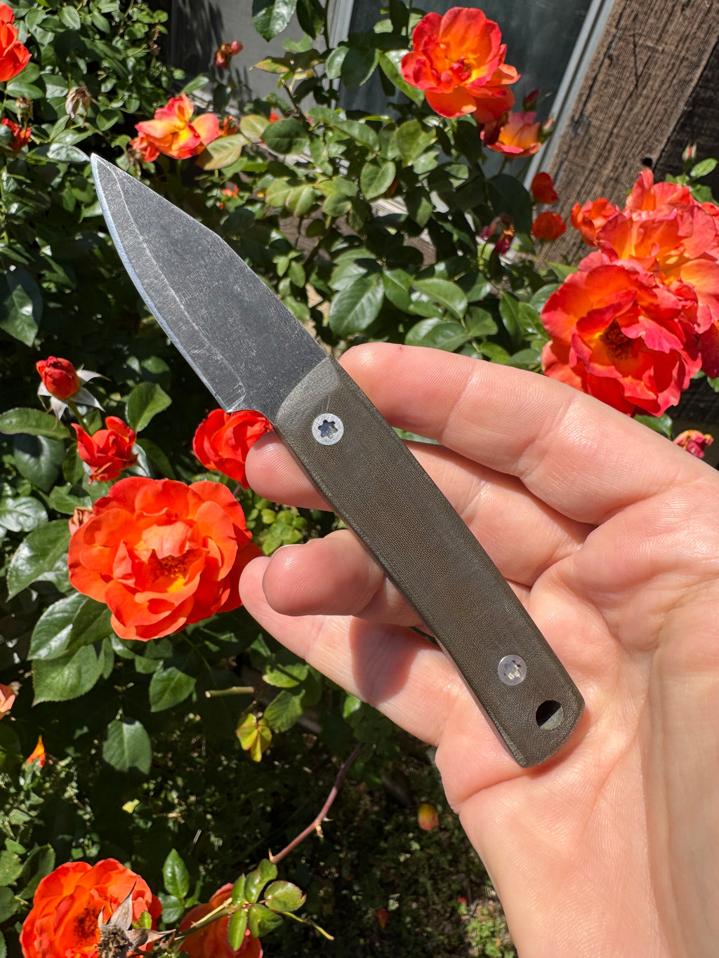 HF Blade Co Beta Test Batch EDC Scalpels AEBL Stainless Steel OD Green Micarta Handles