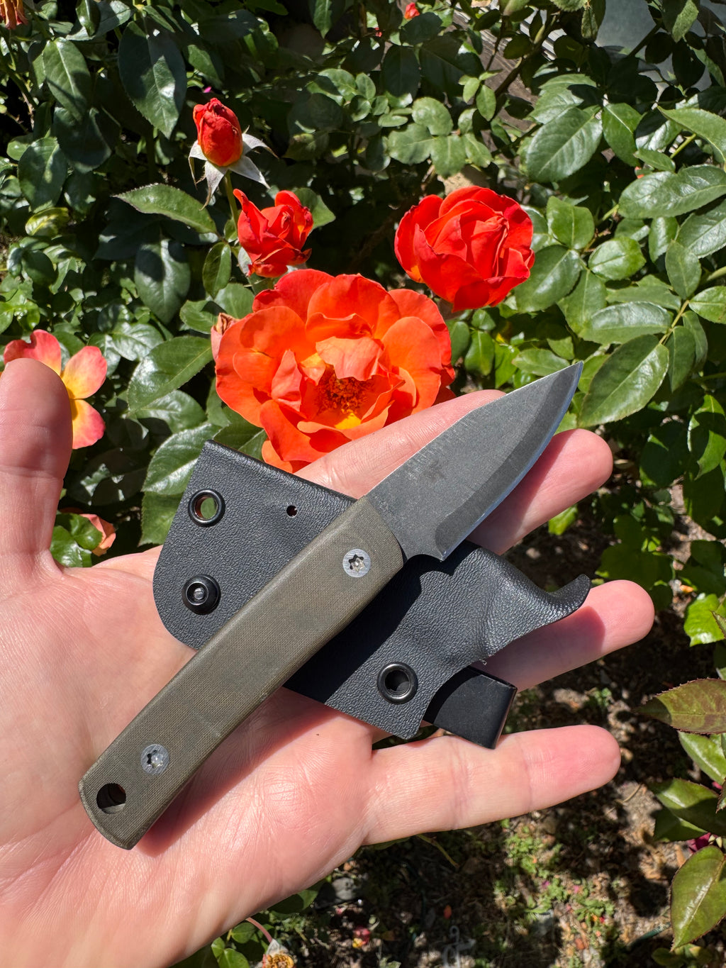 HF Blade Co Beta Test Batch EDC Scalpels AEBL Stainless Steel OD Green Micarta Handles
